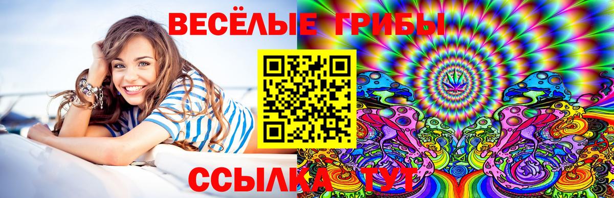 Одинцово  Галлюциногенные грибы мицелий  Галлюциногенные грибы Psilocybe  Вход с VPN 