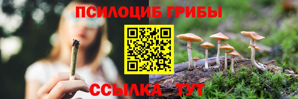 Псилоцибиновые грибы мухоморы Одинцово