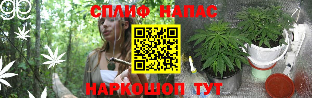 Одинцово  Каннабис планчик  Вход с VPN  Каннабис ГИДРОПОН  МАРИХУАНА VHQ 
